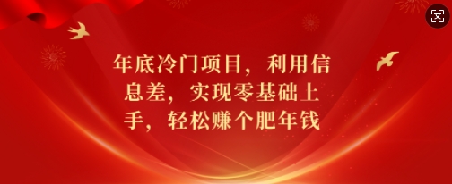 年底冷门项目，利用信息差，实现零基础上手，轻松赚个肥年钱【揭秘】-知识创作
