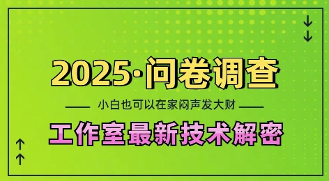 2025问卷调查最新工作室技术解密：一个人在家也可以闷声发大财，小白一天2张，可矩阵放大【揭秘】-知识创作