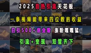 2025自热引流天花板，一条视频能带来四位数的收益，引流+变现双管齐下，日引500+创业粉，涨粉嘎嘎猛-知识创作