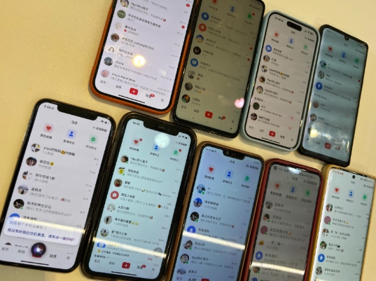 首发揭秘小红书私域日引500+创业粉四大模板，月入过W+全程干货!没有废话!保姆教程!-知识创作