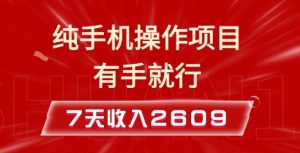 纯手机操作的小项目，有手就能做，7天收入2609+实操教程【揭秘】-知识创作