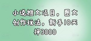 小说推文项目，图文创作玩法，新手10天挣3000-知识创作