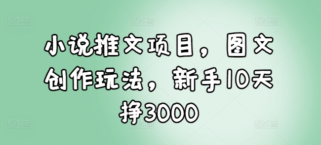 小说推文项目，图文创作玩法，新手10天挣3000-知识创作