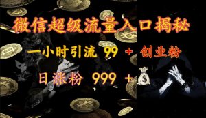 微信超级流量入口揭秘：一小时引流 99 + 创业粉，日涨粉 999 +-知识创作