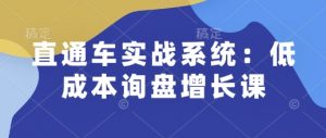 直通车实战系统：低成本询盘增长课，让个人通过技能实现升职加薪，让企业低成本获客，订单源源不断-知识创作