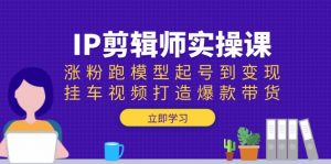 IP剪辑师实操课：涨粉跑模型起号到变现，挂车视频打造爆款带货-知识创作