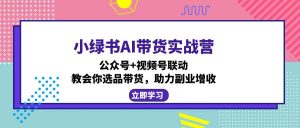 小绿书AI带货实战营：公众号+视频号联动，教会你选品带货，助力副业增收-知识创作