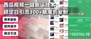 西瓜视频一键搬运技术，稳定日引流300+精准创业粉，简单可复制给团队，...-知识创作