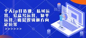 个人ip打造课，私域运营，公众号运营，知乎运营，底层逻辑和方向定位等-知识创作