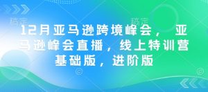 12月亚马逊跨境峰会， 亚马逊峰会直播，线上特训营基础版，进阶版-知识创作
