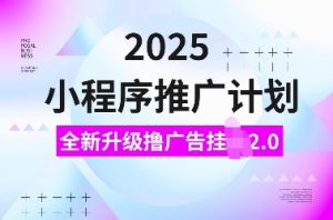 2025小程序推广计划，全新升级撸广告挂JI2.0玩法，日入多张，小白可做【揭秘】-知识创作