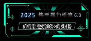 2025年快手6.0保姆级教程震撼来袭，单日狂吸300+精准创业粉-知识创作