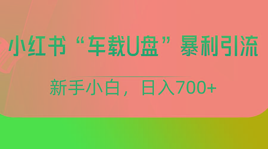 小红书“车载U盘”项目，暴利引流，新手小白轻松日入700+-知识创作