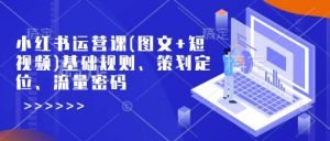 小红书运营课(图文+短视频)基础规则、策划定位、流量密码-知识创作