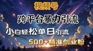 跨平台暴力引流，私域完美闭环，日引500+精准创业粉-知识创作