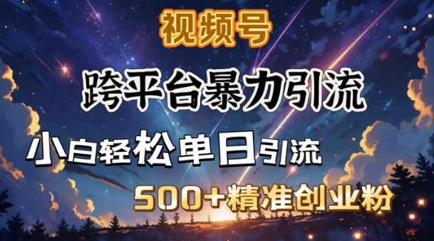 跨平台暴力引流，私域完美闭环，日引500+精准创业粉-知识创作