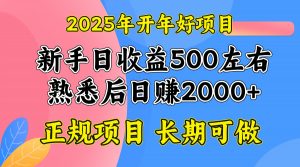 2025开年好项目，单号日收益2000左右-知识创作
