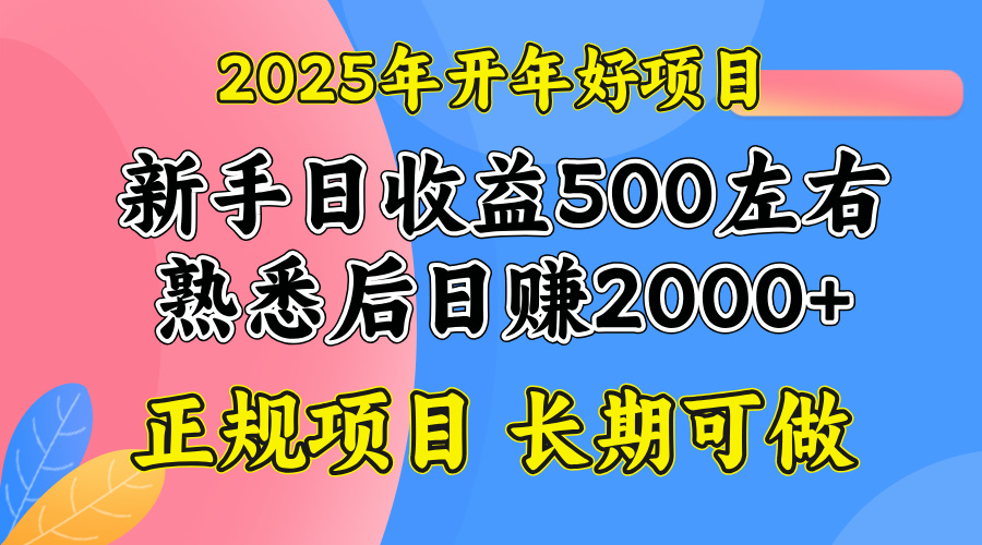 2025开年好项目，单号日收益2000左右-知识创作