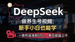小白用DeepSeek做养生号，一条作品涨粉5万+，单日收益上千-知识创作