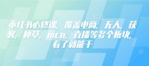 小红书必修课，覆盖电商，无人，获客，种草，mcn，直播等多个板块，看了就能干-知识创作