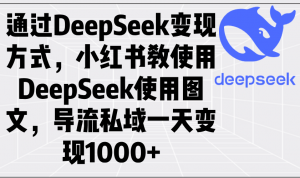 通过DeepSeek变现方式，小红书教使用DeepSeek图文，导流私域一天变现1000+-知识创作