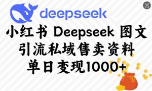 小红书Deepseek图文引流私域售卖资料，单日变现多张-知识创作