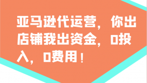 亚马逊代运营，你出店铺我出资金，0投入，0费用，无责任每天300分红，赢亏我承担-知识创作