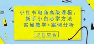 小红书电商高级课程，新手小白必学方法，实操教学+案例分析-知识创作