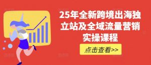 25年全新跨境出海独立站及全域流量营销实操课程，跨境电商独立站TIKTOK全域营销普货特货玩法大全-知识创作
