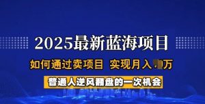 2025蓝海项目，普通人如何通过卖项目，实现月入过W，全过程【揭秘】-知识创作