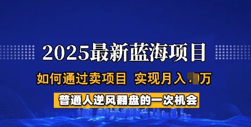 2025蓝海项目，普通人如何通过卖项目，实现月入过W，全过程【揭秘】-知识创作