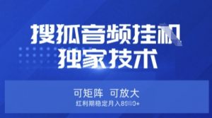 【搜狐音频挂G】独家技术，可矩阵可放大，红利期稳定月入8k【揭秘】-知识创作