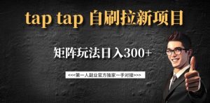 taptap拉新自刷项目，一个新用户14元，矩阵玩法日入300+-知识创作