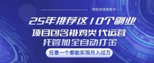 25年推荐这10个副业项目包含褂鸡类、代运营托管类、全自动打金类【揭秘】-知识创作