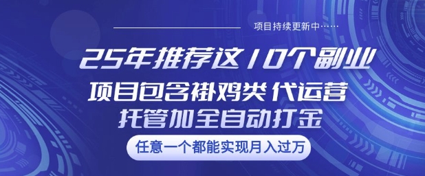 25年推荐这10个副业项目包含褂鸡类、代运营托管类、全自动打金类【揭秘】-知识创作