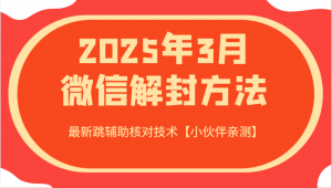 2025年3月微信解封方法 最新跳辅助核对技术【小伙伴亲测】-知识创作