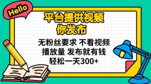 平台提供视频 你发布 无粉丝要求 不看视频播放量 发布就有钱 轻松一天300+-知识创作