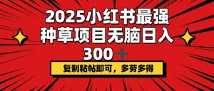 2025小红书最强种草项目，无脑日入300+，复制粘帖即可，多劳多得-知识创作