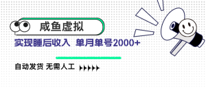 咸鱼虚拟资料 自动发货 无需人工 单月单号2000+-知识创作