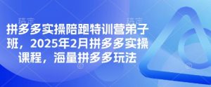 拼多多实操陪跑特训营弟子班，2025年2月拼多多实操课程，海量拼多多玩法-知识创作
