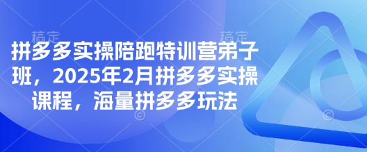 拼多多实操陪跑特训营弟子班，2025年2月拼多多实操课程，海量拼多多玩法-知识创作