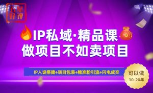 2025年“IP私域·密训精品课”，日赚3000+小白避坑年赚百万，暴力引流...-知识创作
