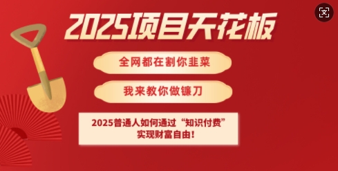 2025项目天花板普通人如何通过知识付费，实现财F自由【揭秘】-知识创作