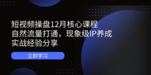 短视频操盘12月核心课程：自然流量打通，现象级IP养成，实战经验分享-知识创作