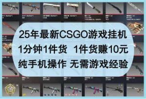 25年最新CSGO游戏挂机，1分钟1件货，1件货赚10元 纯手机操作 无需游戏经验-知识创作