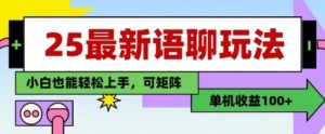 25年最新语聊玩法，纯手工，单机收益100+，小白也能轻松上手，可矩阵操作-知识创作