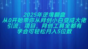 2025年逆境翻盘，从0开始带你从网创小白变成大佬，引流，项目，网创工...-知识创作