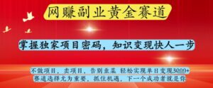 网创副业黄全赛道，掌握独家项目密码，知识变现快人一步，告别韭菜轻松实现单日变现1k+【揭秘】-知识创作