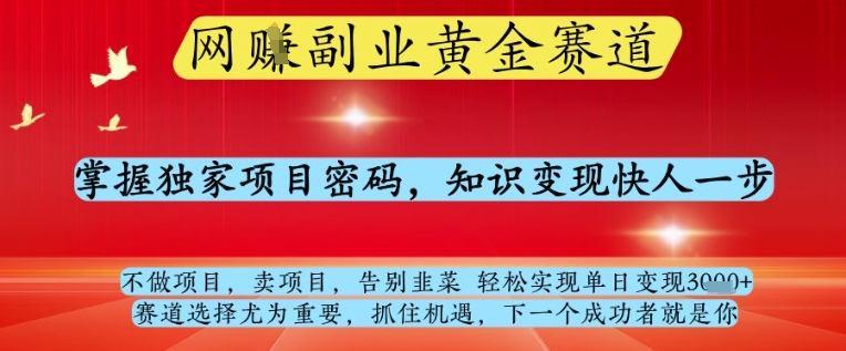 网创副业黄全赛道，掌握独家项目密码，知识变现快人一步，告别韭菜轻松实现单日变现1k+【揭秘】-知识创作