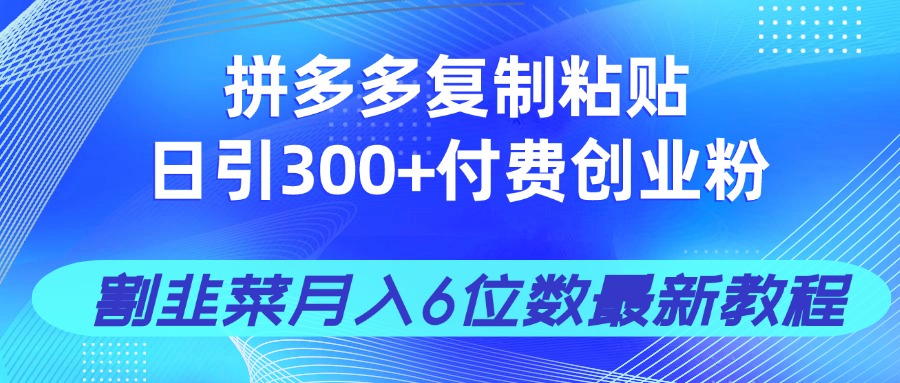 拼多多复制粘贴日引300+付费创业粉，割韭菜月入6位数最新教程！-知识创作
